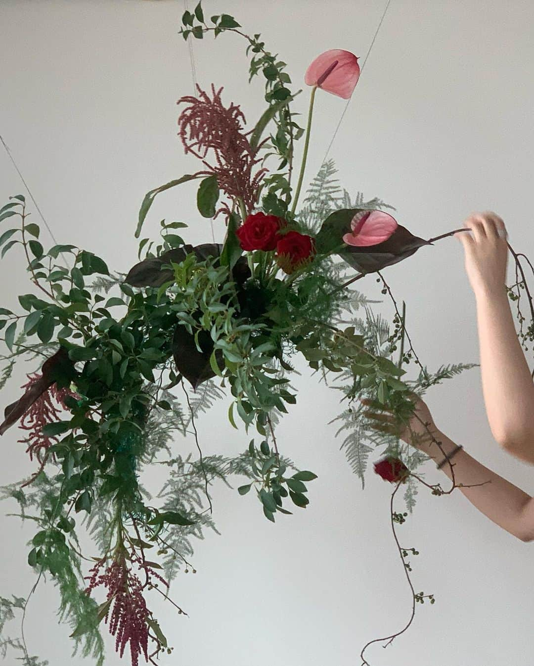 플로리스트 이주연 florist Lee Ju Yeonさんのインスタグラム写真 - (플로리스트 이주연 florist Lee Ju YeonInstagram)「. . Hanging installation   #hanginginstallation #행잉 #공간장식  . 바네스플라워 VANESS FLOWER . Katalk ID vaness52 E-mail vanessflower@naver.com . Paypal payment possible . 서울시 중구 청파로464 브라운스톤서울 101동2806호 📞02-545-6813」7月24日 21時50分 - vanessflower