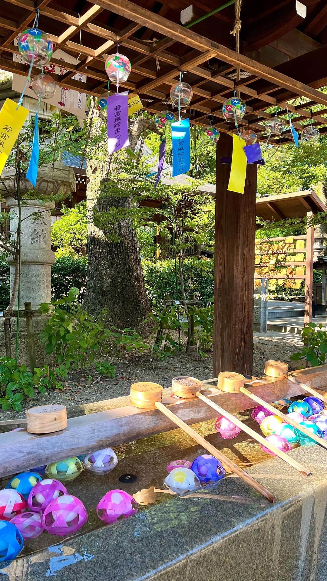 後藤理沙子のインスタグラム：「若宮八幡宮 風鈴まつり🎐♡ 風鈴の音色を聞きたくてお散歩してきました！ ちりんちりんって音が癒される〜🥰 * #若宮八幡社  #風鈴祭り  #風鈴 #夏の風物詩  #名古屋 #名古屋観光  #神社  #神社巡り」