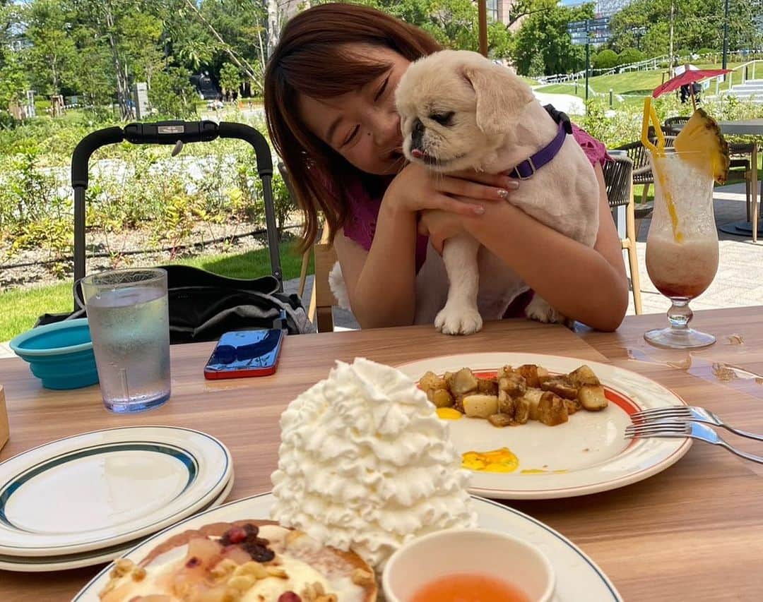 有田優理香さんのインスタグラム写真 - (有田優理香Instagram)「🥞  左山さんと念願の犬会🥹💜  やっと会えたもかちゃん🐶 表情豊かでとってもキュート！ 癒されました〜💓  ぺいちゃんも美女と美犬にダブルで大興奮でした🤣 椅子の下からフゴフゴともかちゃんを見つめておりました。 そして相手にされない、、笑  同い年の選手の活躍は励みになるっ👏 新シーズンもぺいちゃんとともに応援してます💪⚽️ またいきましょう！🥰  #sanfrecce #サンフレッチェ広島レジーナ #エッグスンシングス #ゲートパーク広島 #シミントひろしま #pekingese #toypoodle #犬会」7月24日 22時16分 - yurikaa0624