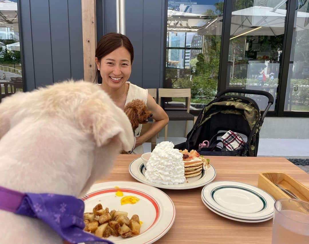 有田優理香さんのインスタグラム写真 - (有田優理香Instagram)「🥞  左山さんと念願の犬会🥹💜  やっと会えたもかちゃん🐶 表情豊かでとってもキュート！ 癒されました〜💓  ぺいちゃんも美女と美犬にダブルで大興奮でした🤣 椅子の下からフゴフゴともかちゃんを見つめておりました。 そして相手にされない、、笑  同い年の選手の活躍は励みになるっ👏 新シーズンもぺいちゃんとともに応援してます💪⚽️ またいきましょう！🥰  #sanfrecce #サンフレッチェ広島レジーナ #エッグスンシングス #ゲートパーク広島 #シミントひろしま #pekingese #toypoodle #犬会」7月24日 22時16分 - yurikaa0624