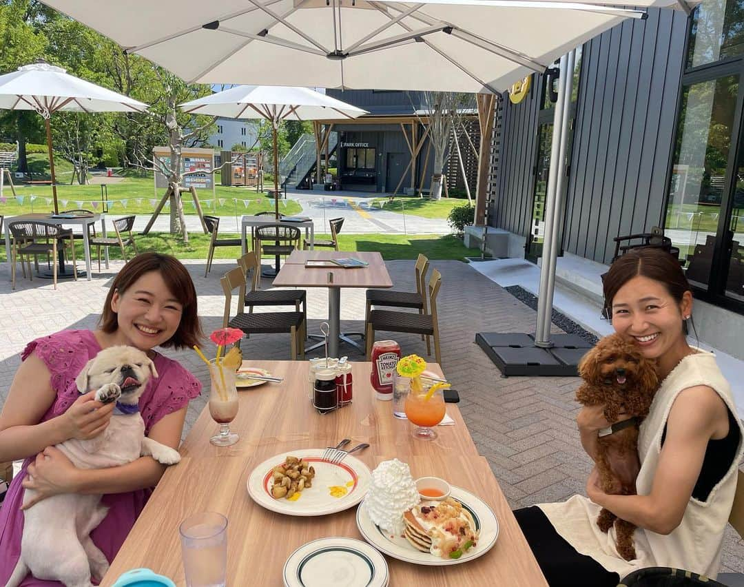 有田優理香のインスタグラム：「🥞  左山さんと念願の犬会🥹💜  やっと会えたもかちゃん🐶 表情豊かでとってもキュート！ 癒されました〜💓  ぺいちゃんも美女と美犬にダブルで大興奮でした🤣 椅子の下からフゴフゴともかちゃんを見つめておりました。 そして相手にされない、、笑  同い年の選手の活躍は励みになるっ👏 新シーズンもぺいちゃんとともに応援してます💪⚽️ またいきましょう！🥰  #sanfrecce #サンフレッチェ広島レジーナ #エッグスンシングス #ゲートパーク広島 #シミントひろしま #pekingese #toypoodle #犬会」