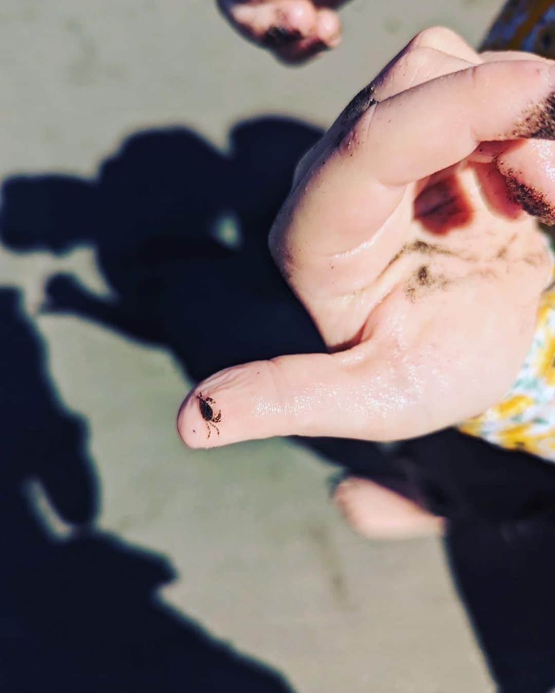 のインスタグラム：「発見、なんで？ 協力。  わたしはいま子供と夏を過ごしています  こどもには敵わない！🤣」
