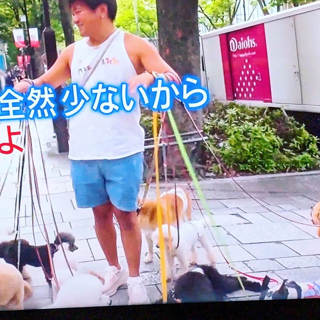 平井富子のインスタグラム：「今、月曜から夜ふかし見てたら、知ってるお兄さん出てきてビックリ。 思わず写真撮ってしまいました。 また、お会いしたいですね!」