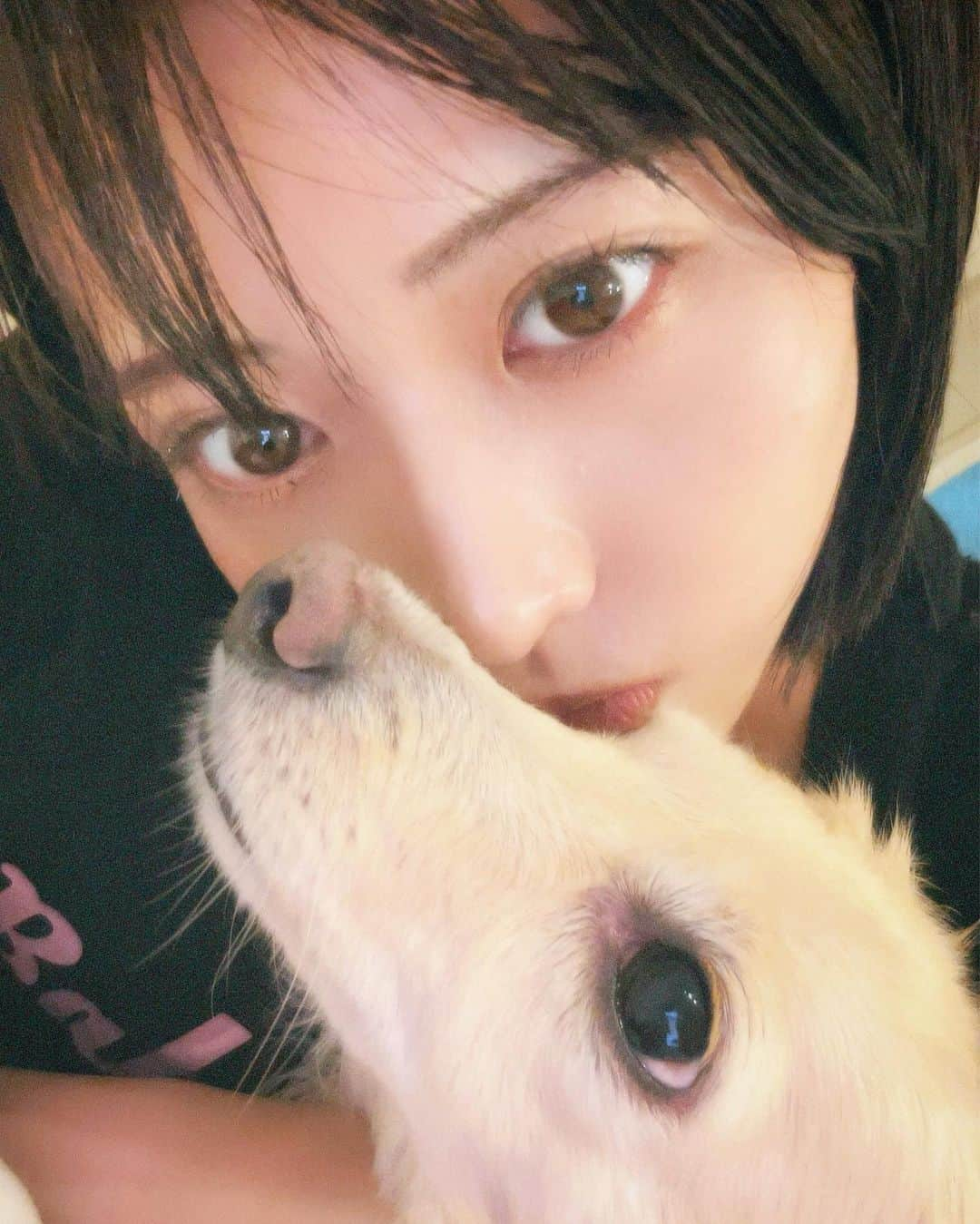 宮瀬彩加のインスタグラム：「🐶 久しぶりのプリン👸(姉宅いっぬ)との癒し1週間。 居なくなって寂しいまであった🥹  帰ってきたら一目散に擦り寄ってきたり めちゃくちゃ気許したおブスな寝方も愛おしい。  いつかわんちゃん飼いたいなーー。🐾  #プリンセスのプリンちゃん　#いっぬ #いぬすたぐらむ」