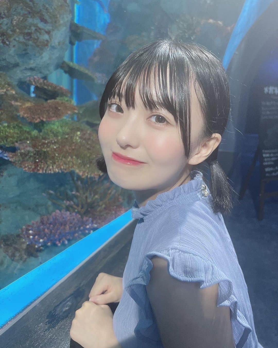 小柴美羽さんのインスタグラム写真 - (小柴美羽Instagram)「ジンベエザメ🦈  .  .  .  . #沖縄 #沖縄旅行 #遠征 #水族館 #黒髪ボブ #黒髪 #ボブ #ショートボブ #アイドル #前髪 #ヘアアレンジ #メイク #夏 #夏コーデ #japanese #japanesegirl #japanesefashion #japaneseidol #idol」7月24日 22時41分 - miu_koshiba