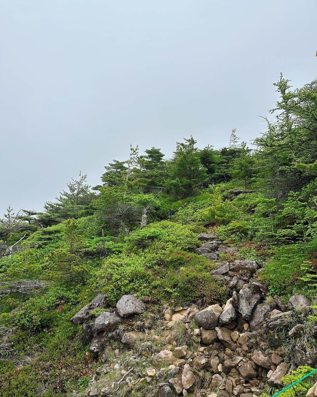 甲斐まりかさんのインスタグラム写真 - (甲斐まりかInstagram)「BS朝日⛰そこに山があるから 観て下さった皆さん、ありがとうございました！  絶景と共に3時間ちょっとの独り言登山。 頂上に着いたら、景色は真っ白☁️だったのでまたリベンジ！する！  TVerで水曜日の夜まで見逃し配信やってます。是非💁🏻‍♀️  #そこ山 #そこに山があるから #BS朝日 #東篭ノ登山 #登山 #hiking」7月24日 23時32分 - mari_ka95