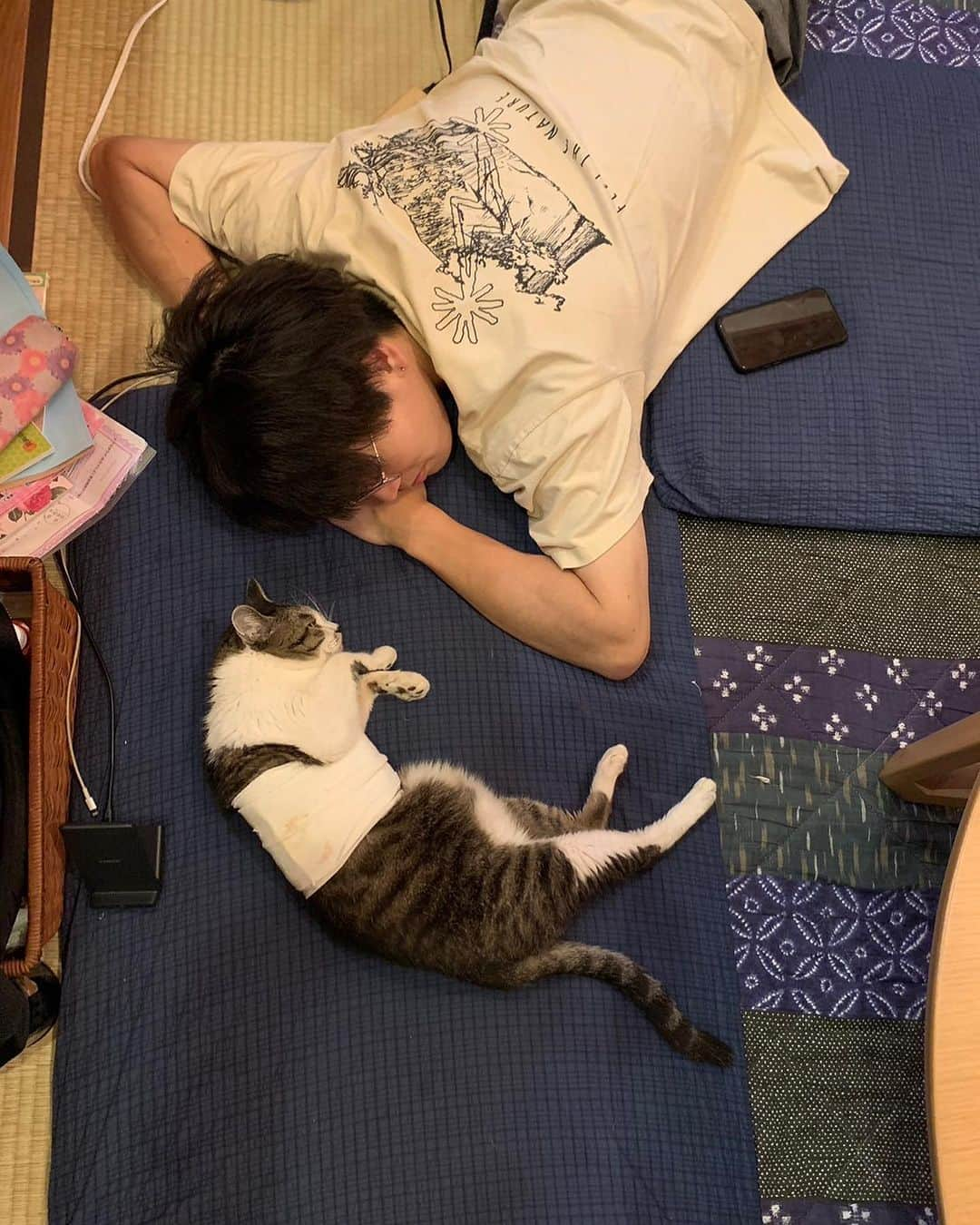 大高伽弥さんのインスタグラム写真 - (大高伽弥Instagram)「大切な家族🐱  #猫  #猫好きさんと繋がりたい  #ねこのいる生活  #ねこすたぐらむ  #ねこのきもち  #ねこと暮らす  #猫がいる生活」7月24日 23時53分 - kayaowl