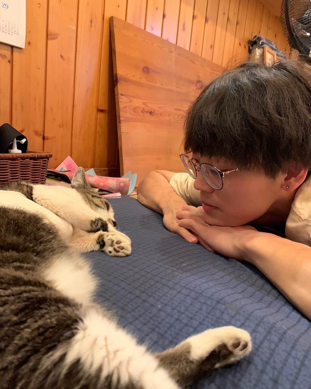 大高伽弥さんのインスタグラム写真 - (大高伽弥Instagram)「大切な家族🐱  #猫  #猫好きさんと繋がりたい  #ねこのいる生活  #ねこすたぐらむ  #ねこのきもち  #ねこと暮らす  #猫がいる生活」7月24日 23時53分 - kayaowl