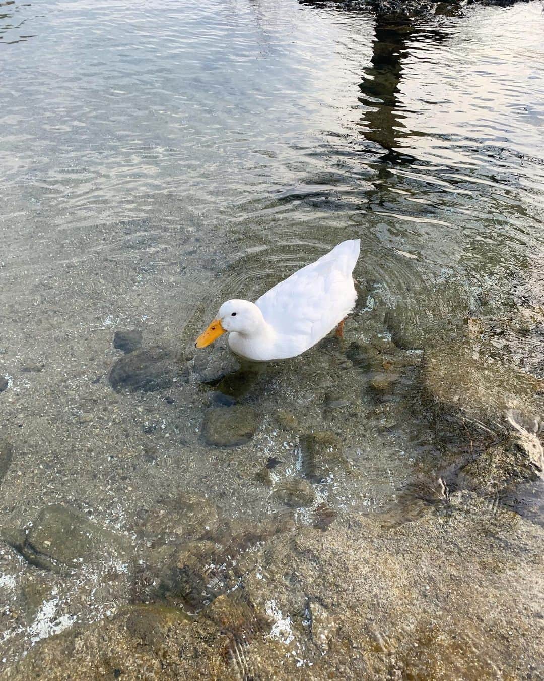 涼川菜月のインスタグラム