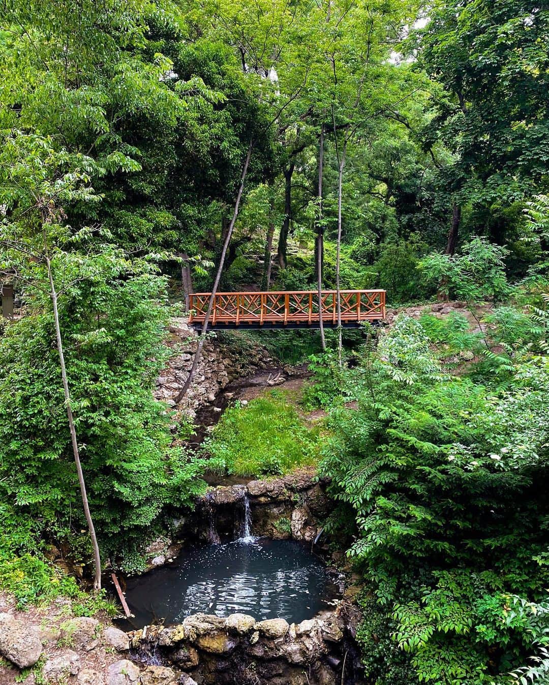 Slawaさんのインスタグラム写真 - (SlawaInstagram)「These days」7月25日 0時19分 - slawada