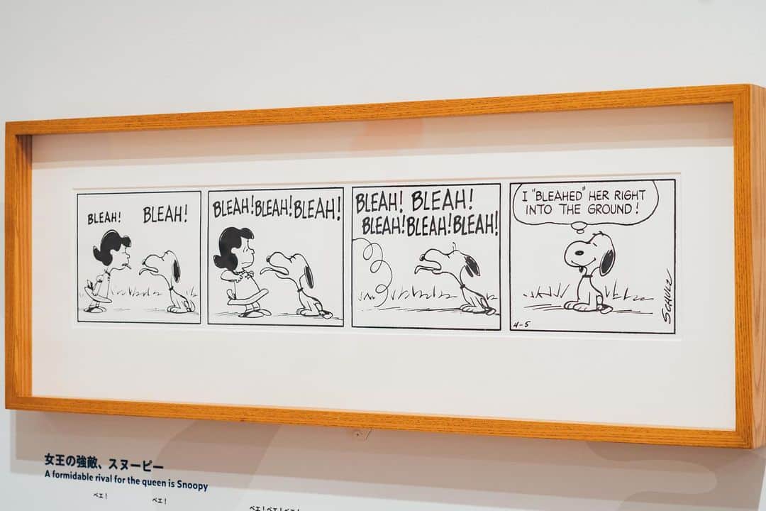 SNOOPY MUSEUM TOKYOのインスタグラム：「#snoopymuseumtokyo #schulzmuseum #snoopy #スヌーピーミュージアム #スヌーピー #今こそルーシー！ #LUCYISHERE」