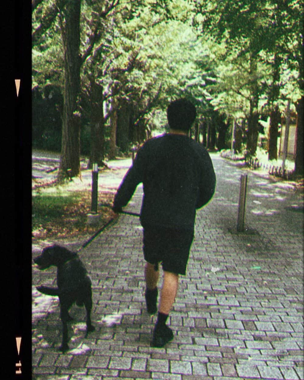 井口理さんのインスタグラム写真 - (井口理Instagram)「おれの散歩をする犬」7月25日 3時17分 - 191satoru
