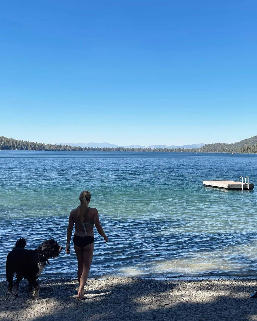 サッシャ・ディギーリアンさんのインスタグラム写真 - (サッシャ・ディギーリアンInstagram)「summertime beats   ☀️ 🧗‍♀️ 🌊 🐶  @blenders + @moosechaga  #feelslikesummer #tranquility #blenderseyewear」7月25日 3時43分 - sashadigiulian