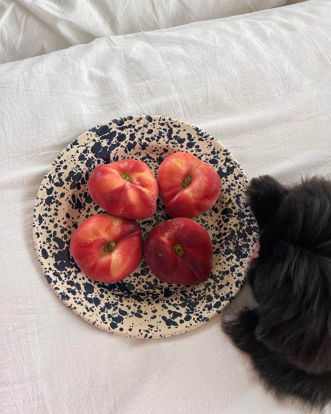 ソヨン さんのインスタグラム写真 - (ソヨン Instagram)「。 지난 주, 이모저모와 고모는 다 먹는 거.」7月25日 13時28分 - melodysoyani
