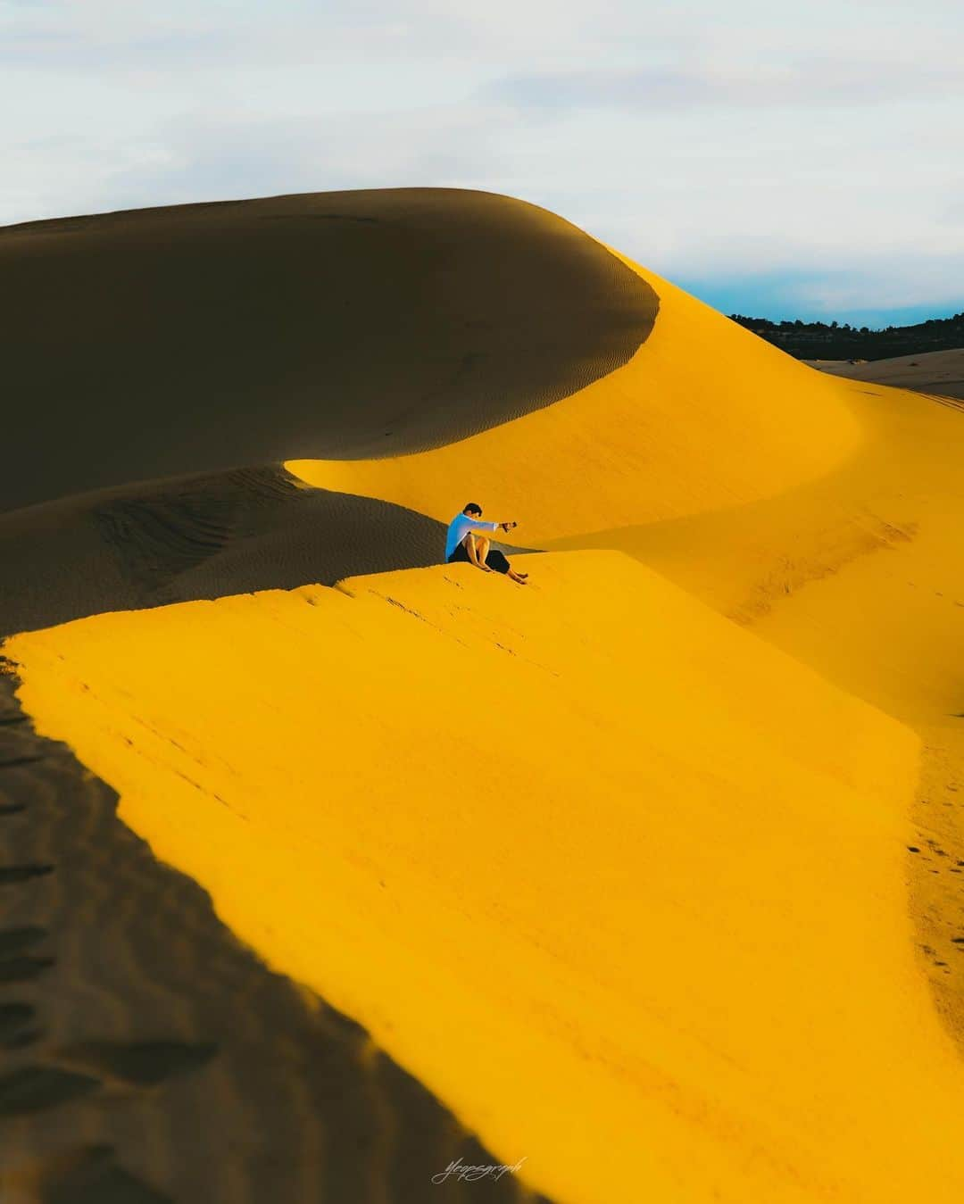 Canon Asiaのインスタグラム：「It’s a 🌊 of yellow, but it’s not really a sea!  Do you know what’s truly impressive in this shot by @yeopsgraph? That even in the shadows 🕳️, you can still make out the ripples of the 🟠 sand dunes far off in the background. No doubt that we have the EOS R6 and its 20.1MP CMOS sensor to thank for this! - 📷 Image by @yeopsgraph on Canon EOS R6 | RF24-105mm f/4L IS USM | 81mm | f/4 | ISO 100 | 1/640s - #TeamCanon #CanonAsia #CanonPhotography #CanonPhoto #CanonImages #CanonEOSR #Mirrorless #CanonLens #CanonColourScience #PhotoOfTheDay #IAmCanon #ThePhotoHour #TravelPhotography #LandscapePhotography」