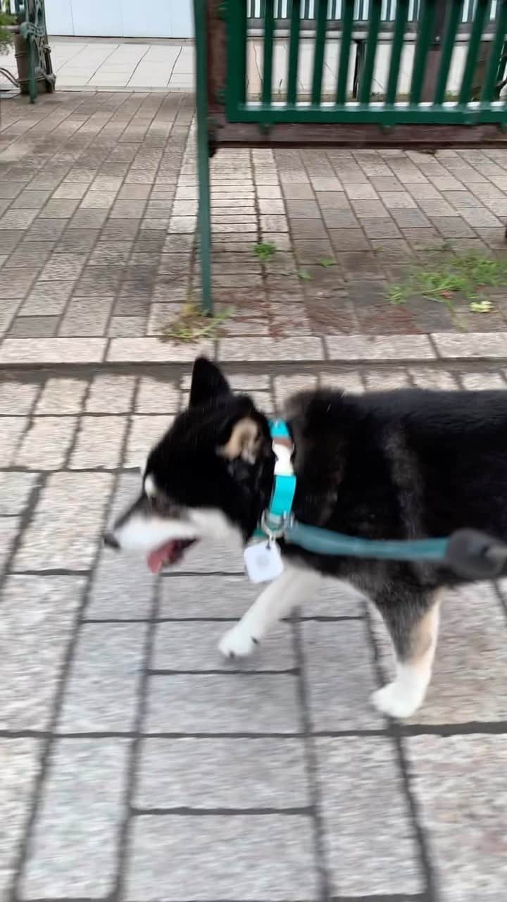 くろのグルメインスタ