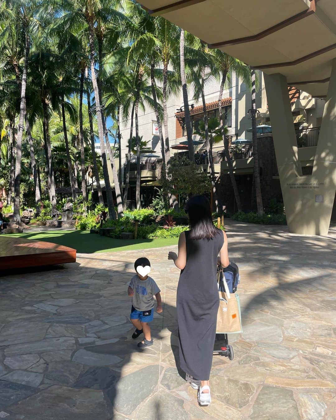 田中麻衣のインスタグラム：「朝のお散歩🌴  ハワイでは毎朝お散歩。 風が気持ちよくて歩いているだけで幸せ。  #hawaii」