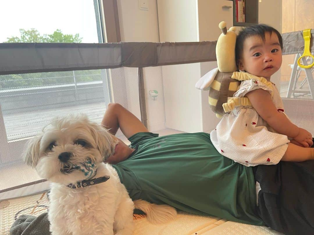 林大地のインスタグラム：「この間の朝👶🏻🐶👨🏻 腹の上でテレビ見て👶🏻🐝 顔の前でオモチャで遊ぶ🐶 #子育て #安全第一 #母親の偉大さ」