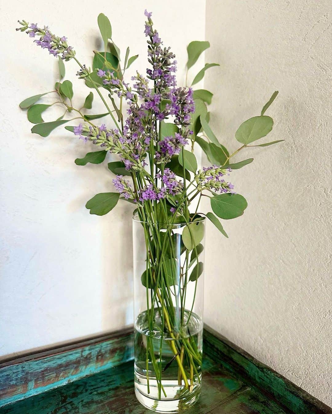 喜国雅彦＆国樹由香さんのインスタグラム写真 - (喜国雅彦＆国樹由香Instagram)「おはようございます。昼が灼熱すぎるので、朝4時に剪定したユーカリとラベンダーをざっくり飾りました。白い花はギンバイカ。可愛い（由）  #flowerstagram #eucalyptus #lavender #myrte #green #mygarden #summer #tokyo #japan #静かにチョキチョキしました #逆に怪しかったか #庭いじり #楽しい #おうちじかん」7月25日 7時45分 - kunikikuni
