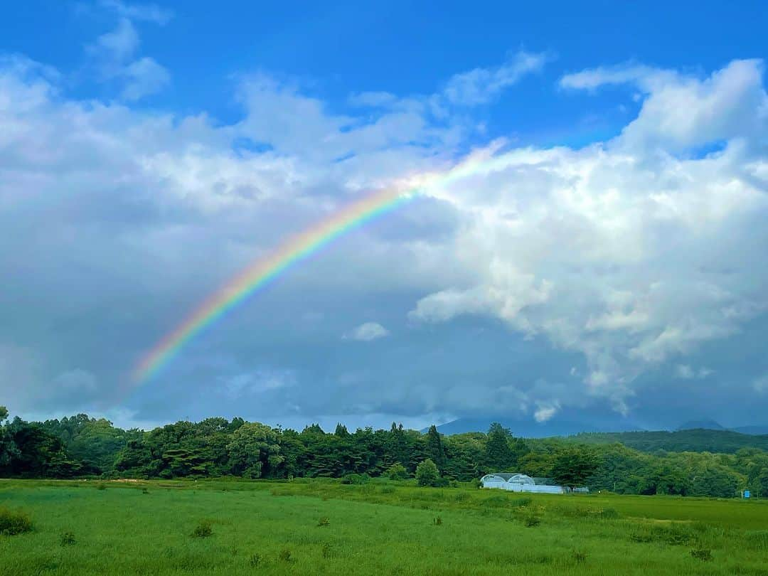 龍円愛梨さんのインスタグラム写真 - (龍円愛梨Instagram)「盛岡でみた虹🌈✨」7月25日 8時49分 - airi_ryuen