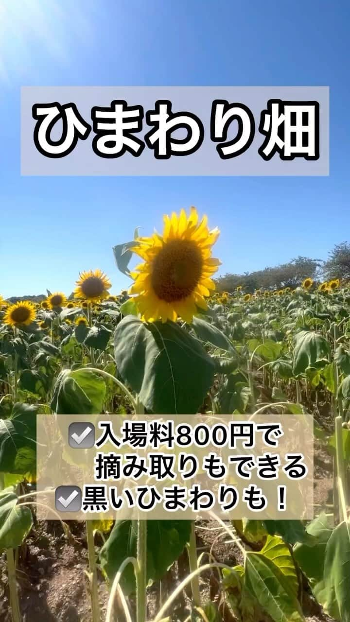 中村愛のインスタグラム