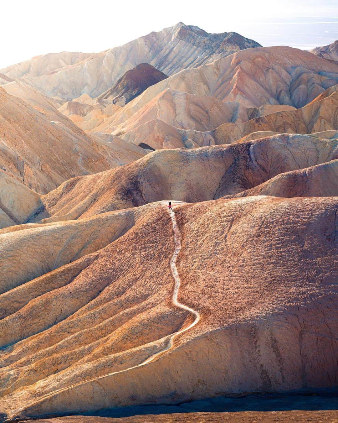 Travel + Leisureさんのインスタグラム写真 - (Travel + LeisureInstagram)「Photo by @v_outdoors 🌍 California may not be the largest state in the U.S. (it's No. 3), but it's certainly one of the most geographically diverse. Get our guide to the Golden State's nine national parks at the link in bio.」7月25日 9時20分 - travelandleisure