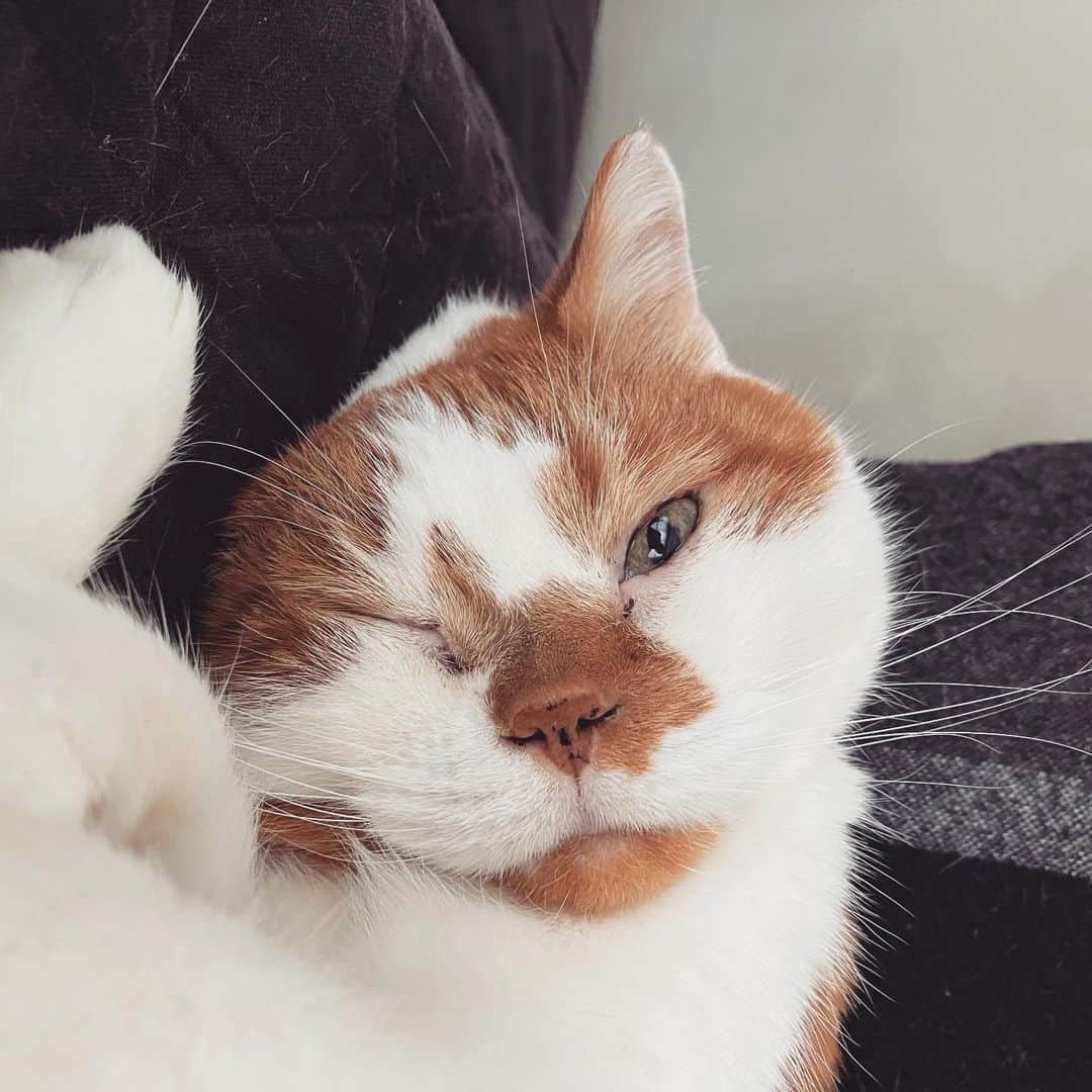 のインスタグラム：「Wink」