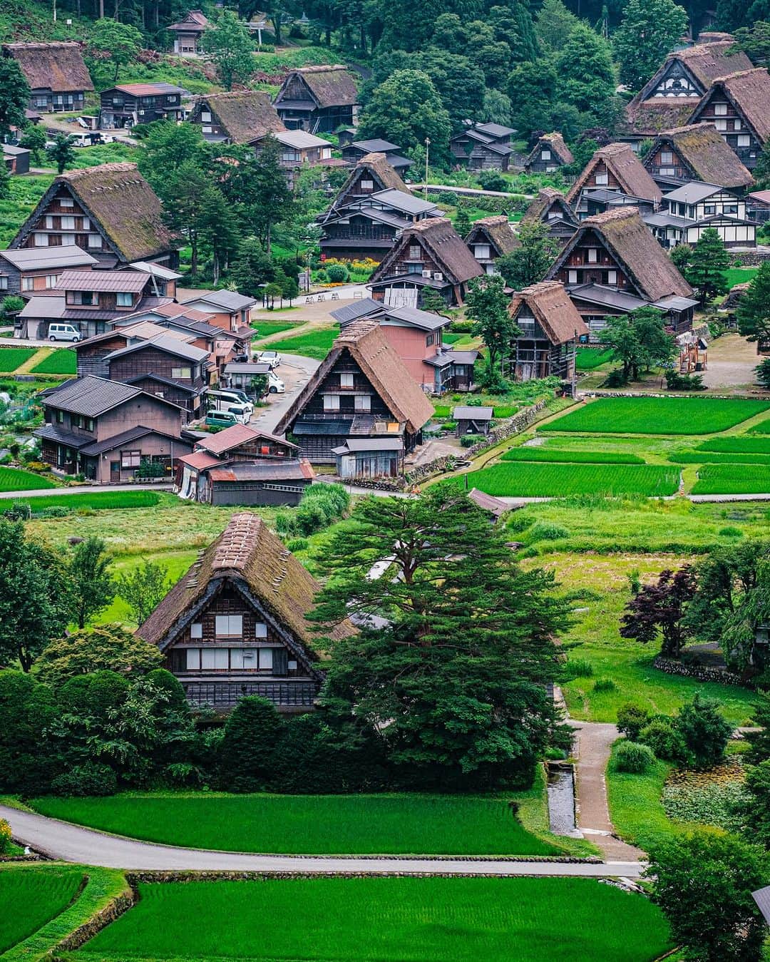 SHOCK EYEさんのインスタグラム写真 - (SHOCK EYEInstagram)「夏の白川郷✨ ここは、世界遺産として有名な場所。  日本の農村の原風景を残す合掌造の集落を歩いていると、まるでタイムスリップしたかのような感覚になる。  豪雪地帯ならではの屋根の形が、絵に描いたような三角形で、とても可愛らしい✨  ここにきて感じたのは、 青々とした自然、小さな生き物たち、都会にいると決して味わえないゆっくりとした静かな時間の流れ、香りや空気が、疲れた心を浄化してくれるってこと。 自然を感じ、触れ合うことの大切さを改めて感じたよ。  秋には稲穂が黄金色に輝き、冬には一面雪景色になるそう。  是非また違う季節に訪れてみたい場所だなあ。  #白川郷 #世界遺産 #shirakawago #worldheritage」7月25日 11時09分 - shockeye_official