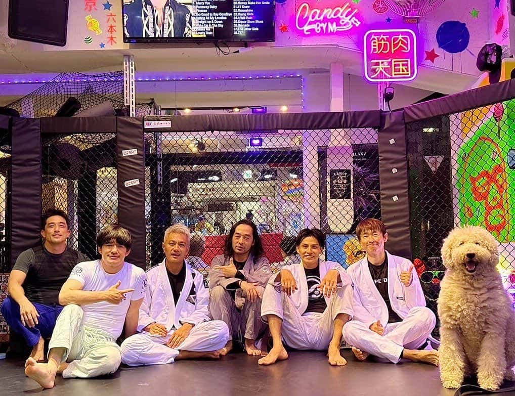 押尾学のインスタグラム：「🥋🥋🥋🥋🥋🥋🐶💛  #jiujitsu #evolve  #柔術」