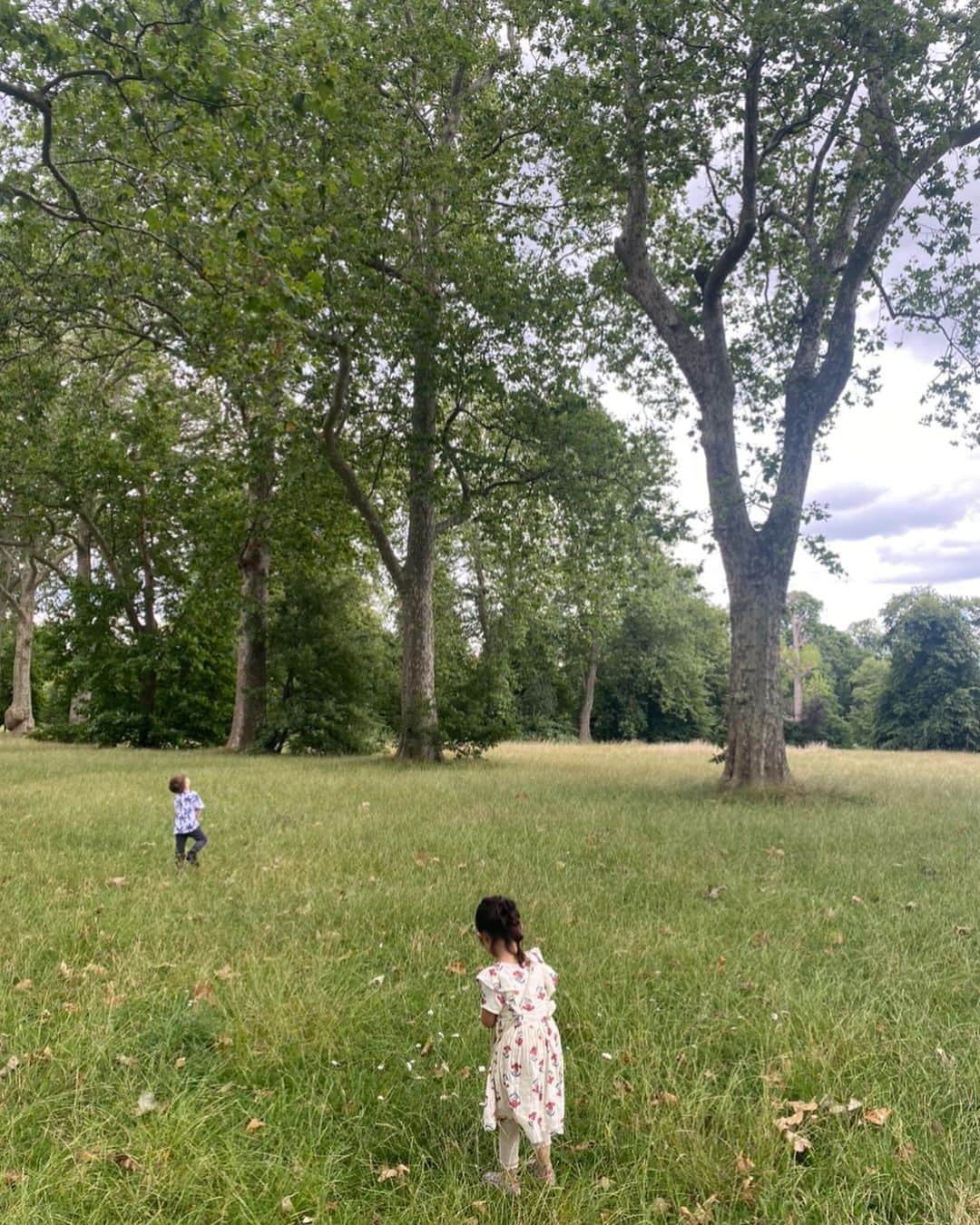 酒向杏奈さんのインスタグラム写真 - (酒向杏奈Instagram)「. . 今年の夏はHyde Parkに何度お世話になったことか🌳 . こちらで買ったスカート付きのお気に入りの水着は何回かしか登場しないほど涼しい(秋のような？)ロンドンだったけど、夏のロンドンは最高でした☀️ . Hyde Parkのコルテッドクリーム入りのアイスが本当に美味しくて🍦大人がハマる💗 . . #hydepark #london」7月25日 22時44分 - annacotta715