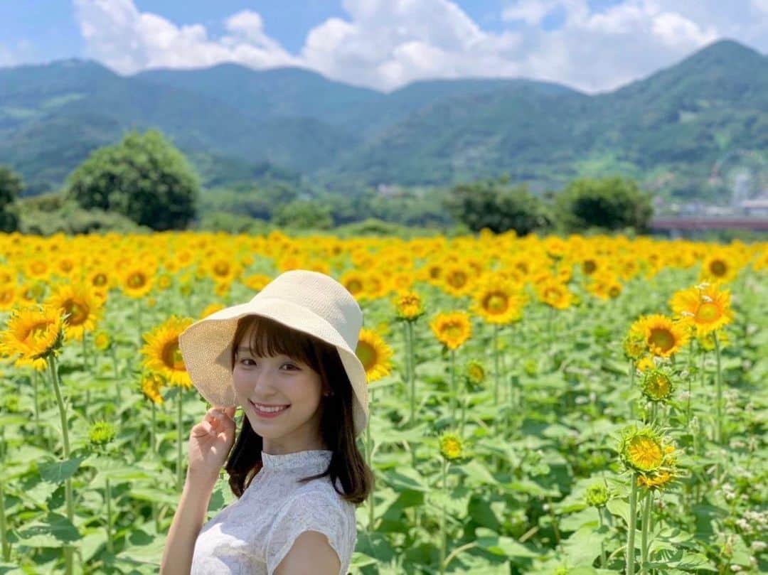 白木愛奈さんのインスタグラム写真 - (白木愛奈Instagram)「こちらのひまわり畑、場所は富士川近くの雁堤というところです(*^^*) 地元の方が一生懸命育てたひまわり、とても素敵でした🌻  #ひまわり畑」7月25日 22時52分 - shiraki_mana
