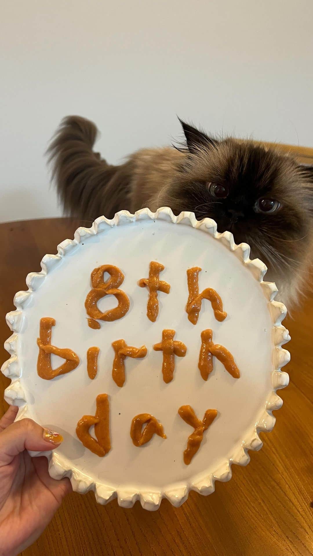 のインスタグラム：「7/25はプリュムの8歳のお誕生日でした🎉👸🏼🎂  パパと誕生日が近いから合同ケーキ🎂 いざ食べようと思ったらまさかの崩れちゃってて…🥲 急遽チュールプレートに🍭 もはや誰が主役か分からなくなる程みんな自由に食べてました🗽🎂😋  プリュム8歳も楽しく幸せに暮らせますように😉💫」