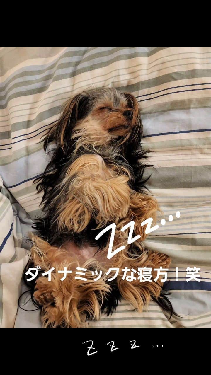 武東由美のインスタグラム