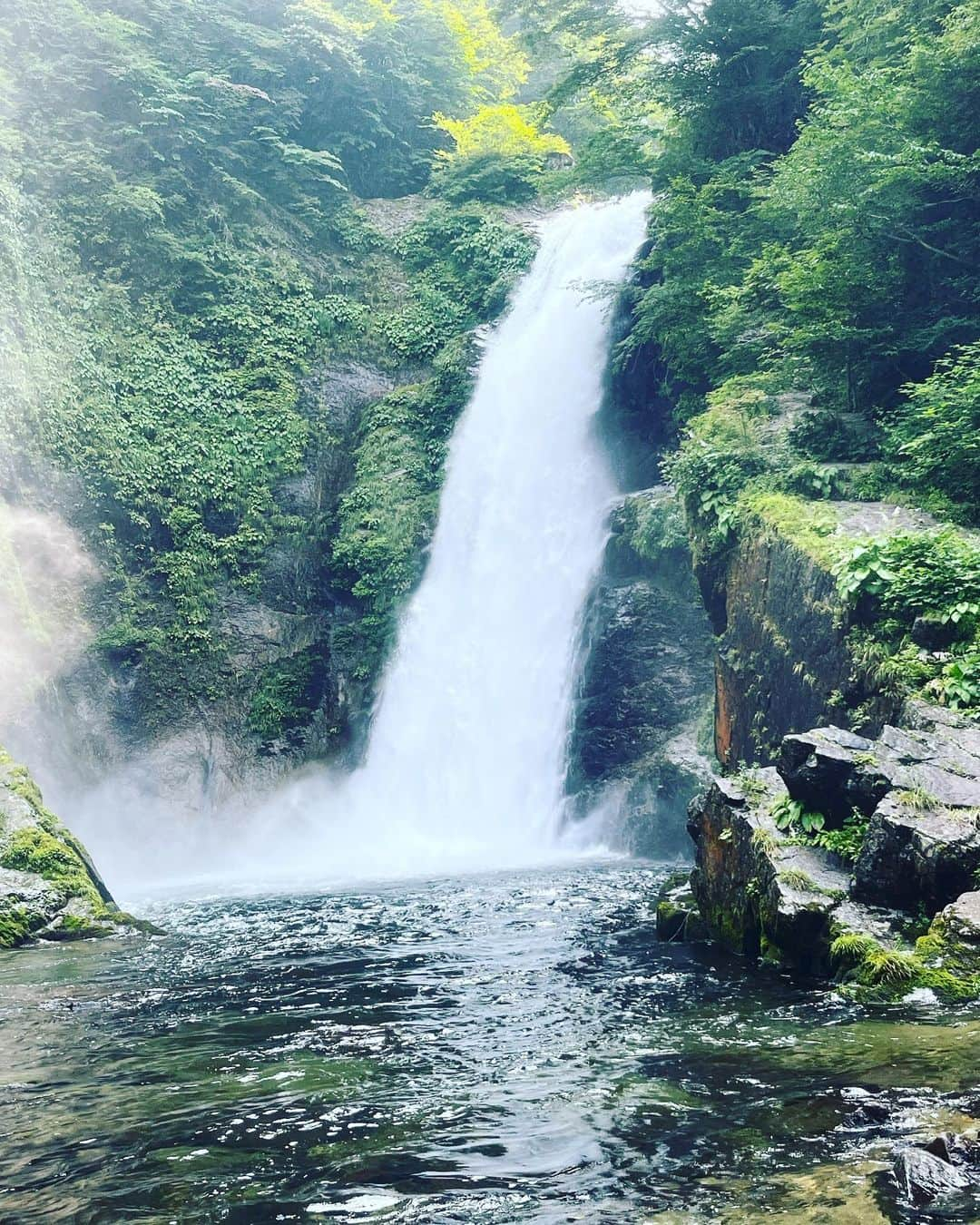 林伊織さんのインスタグラム写真 - (林伊織Instagram)「東京から遠く離れた辺境の地にて②  #日本三大瀑 #超マイナスイオン」7月25日 15時04分 - iori_haya4