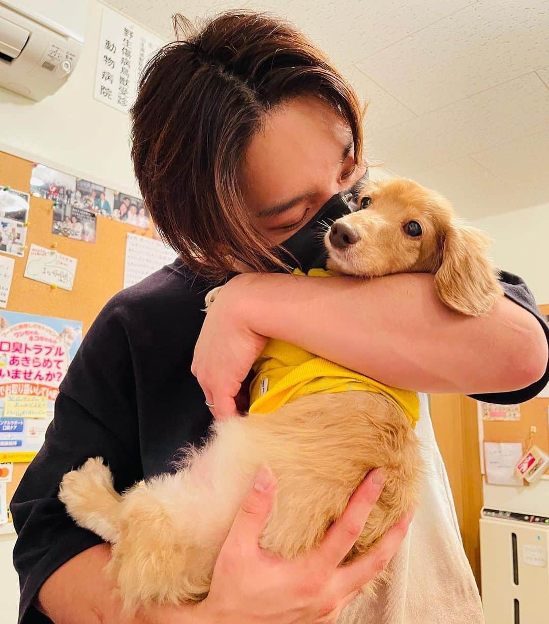 斎藤洸さんのインスタグラム写真 - (斎藤洸Instagram)「先日亡くなった、 保護猫「すりすり」 保護犬「すだこ」  に関して、note書きました。  応援して頂いた皆様、 感謝しています。  長い文章になります。 お時間ある際にストーリーズのリンクから、是非読んでみて下さい。」7月25日 17時39分 - snare_saitou