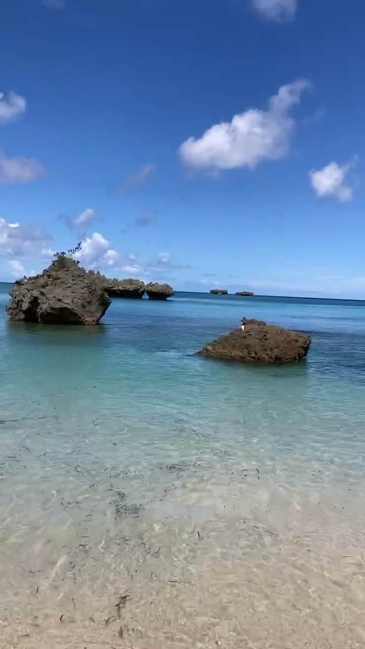 ホテルムーンビーチのインスタグラム：「昨日7月24日、プライベートアイランド「ヨウ島(じま)」にて。 ヨウ島でのシーカヤックは、ホテル発着のヨウ島シーカヤック＆シュノーケリングツアーにてご体験頂けます。 皆さまも無人島にて手つかずの自然を満喫してみませんか？ なおツアー内容につきましてはホテル公式ホームページにてご確認下さいませ。 https://www.moonbeach.co.jp/private_island/  #ザムーンビーチミュージアムリゾート #ムーンビーチ #リゾート #沖縄 #沖縄観光 #沖縄ビーチ #沖縄旅行 #恩納村 #沖縄好き #沖縄リゾートホテル #沖縄好きな人と繋がりたい #旅行好きな人と繋がりたい #リゾート好きな人と繋がりたい #旅行 #japan #okinawa #themoonbeachmuseumresort #okinawabeach #okinawatrip #onnason #visitjapanjp #moonbeach #okinawahotel」