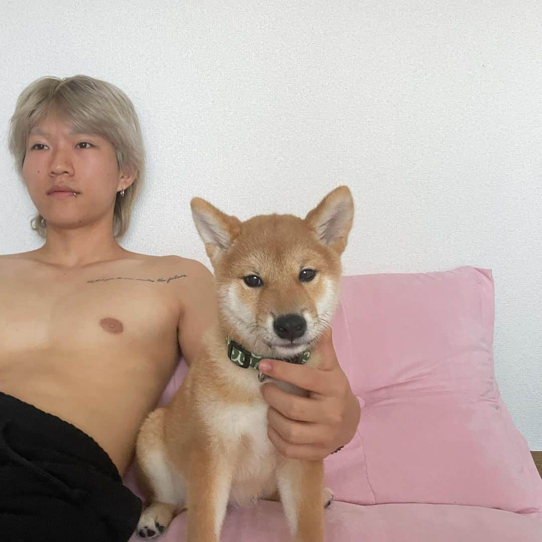 ひまちのインスタグラム：「太郎すくすく育ってます🐕🙈💞」