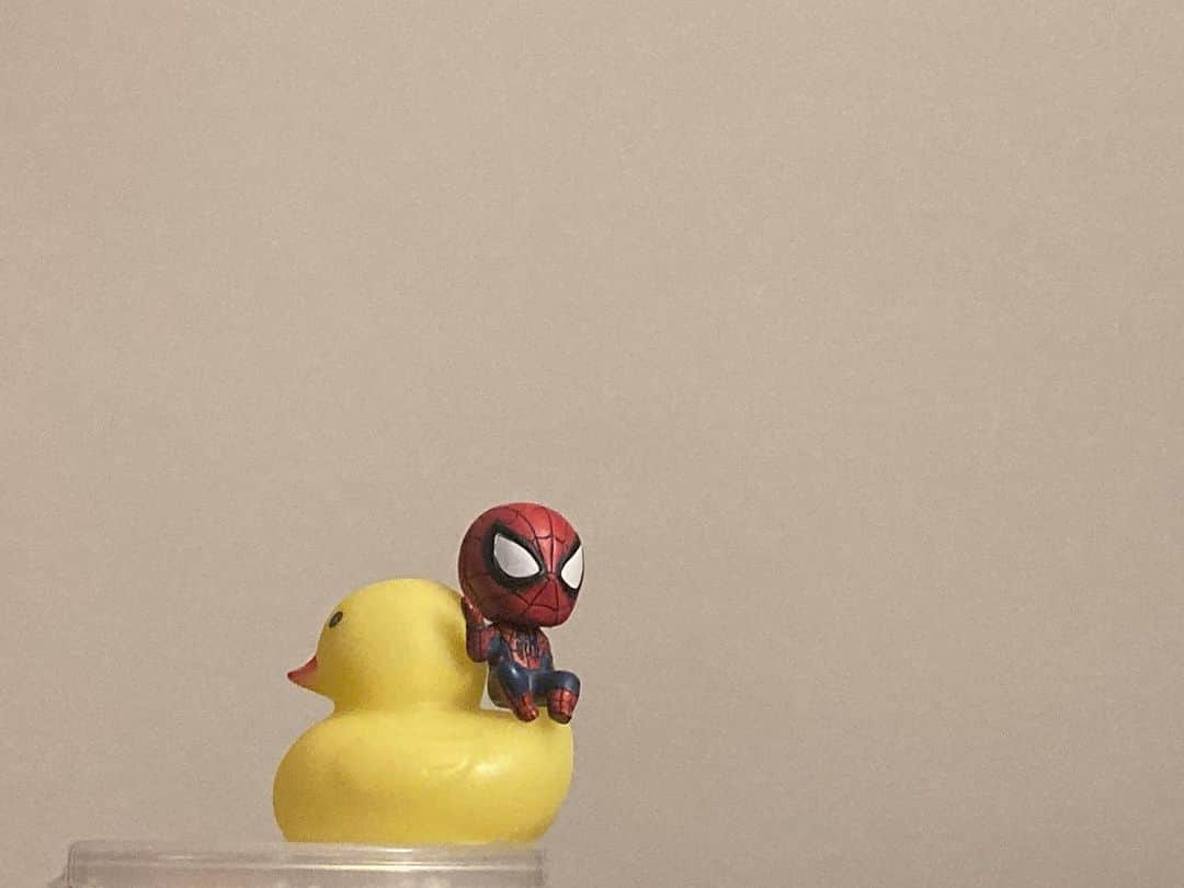 島倉りかさんのインスタグラム写真 - (島倉りかInstagram)「 ︎︎  my friends  #spiderman  #rubberduck」7月25日 18時29分 - rika_shimakura.official