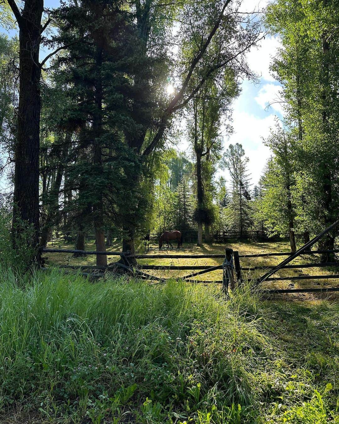 Caitlyn Jennerさんのインスタグラム写真 - (Caitlyn JennerInstagram)「A gorgeous week in Wyoming! Gods country」7月26日 0時13分 - caitlynjenner