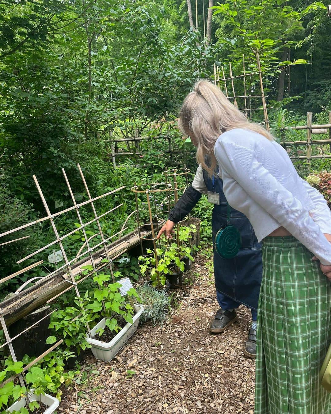 Satomi Biancaさんのインスタグラム写真 - (Satomi BiancaInstagram)「🌲🪵🌳🌿 　　 　　 森林浴しに"藤沢えびね・やまゆり園"へ　 　 ちょうどヤマユリの時期で 綺麗だった💐 　　 　　 首からぶら下げてるのは 蚊取り線香だよ🤣💕 　 係の方々がみんな優しくて 自然にも人にも癒されて素敵な1日になったー☺️ 　　  #pr #藤沢市 #藤沢キュンあつめ #藤沢えびねやまゆり園 #やまゆり園」7月25日 19時09分 - satobyyyy