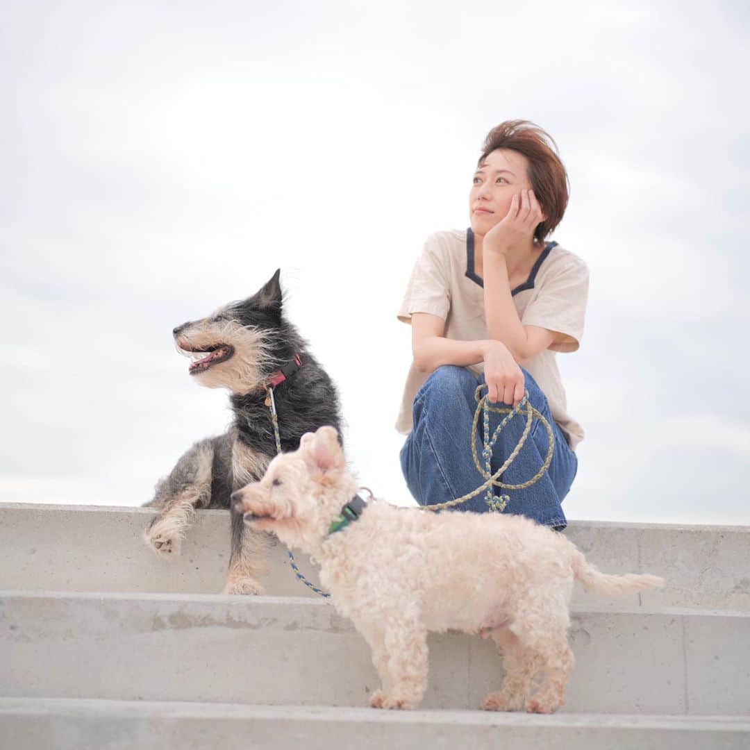 甲斐麻美さんのインスタグラム写真 - (甲斐麻美Instagram)「🎐🎐🎐  一緒だと  もっと ずっと  たのしいね！  #20230725 #kaicoの好日 #いぬとわたし #犬とわたし #元保護犬 #保護犬を家族に #わたしの家族」7月25日 19時41分 - kaico_asami
