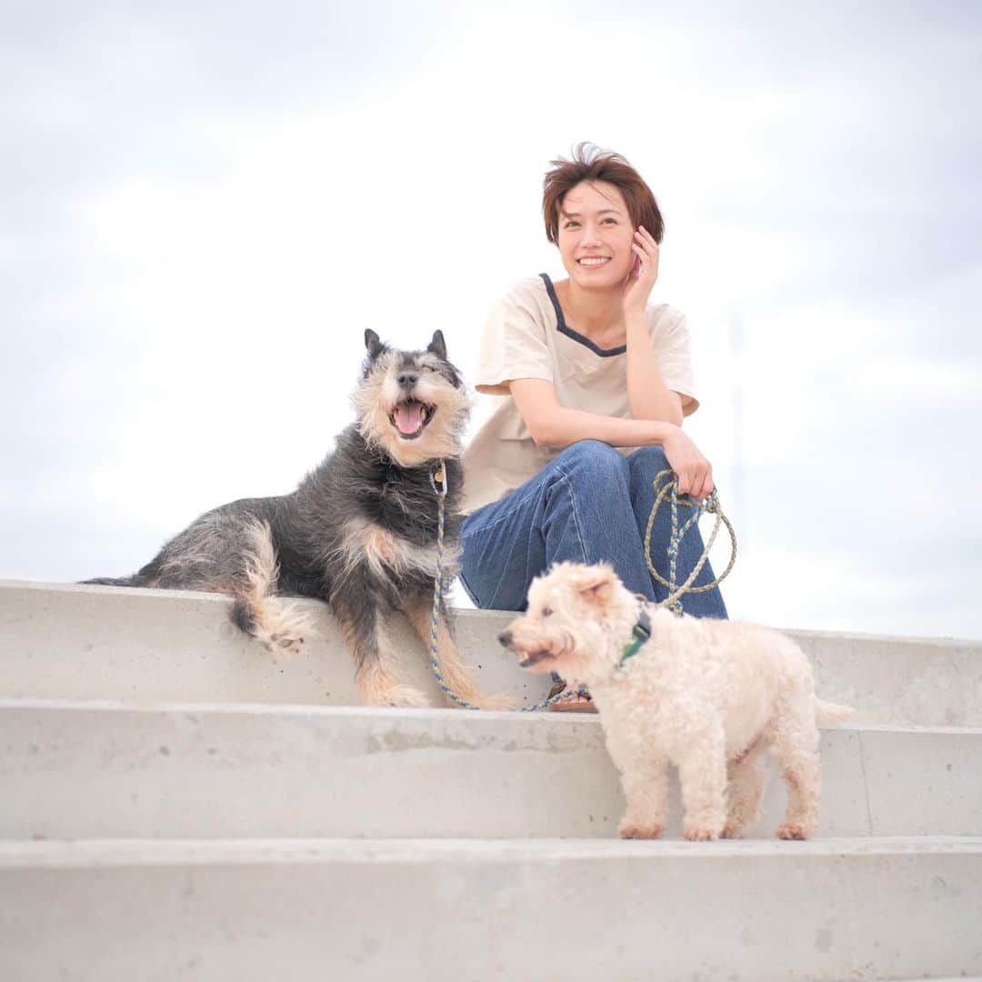 甲斐麻美さんのインスタグラム写真 - (甲斐麻美Instagram)「🎐🎐🎐  一緒だと  もっと ずっと  たのしいね！  #20230725 #kaicoの好日 #いぬとわたし #犬とわたし #元保護犬 #保護犬を家族に #わたしの家族」7月25日 19時41分 - kaico_asami