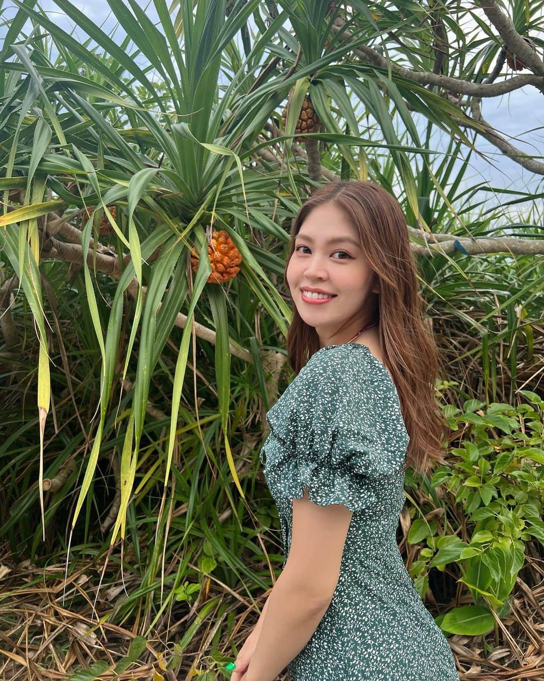 のインスタグラム：「、 沖縄の道にときどき生えてる これなんなん？🐻‍❄️  パイナップル🍍？ 、 、 、 、 #つぼみ大革命 #つぼみ #吉本 #よしもと #アイドル #idol #大阪 #東京 #神戸 #ライブ #instagood #いいね #フォローミー #沖縄 #沖縄旅行 #沖縄観光」