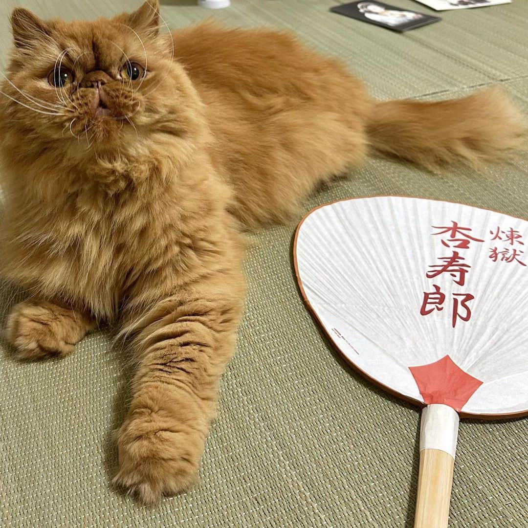 manami☺︎satoのインスタグラム