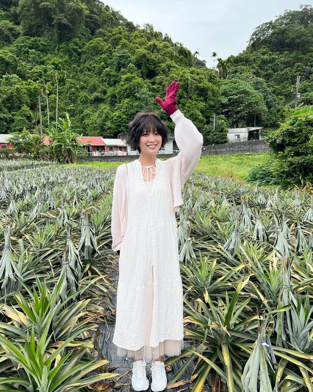 工藤美桜さんのインスタグラム写真 - (工藤美桜Instagram)「先日の台湾でのお仕事は…！ ステラおばさんのクッキーのお仕事でした！アントステラ台湾限定のクッキー、4つのフレーバーの食べ物を実際にいただいたり、産地へ伺ったり… なかなか出来ない体験だったのですごく楽しかったです☺️ アントステラ台湾限定のクッキー、どの味もとっても美味しかったので台湾に行った際のお土産にもぴったりです！ (私も実際親に渡しました)(パッケージもかわいい)」7月25日 20時38分 - mmio_kudo