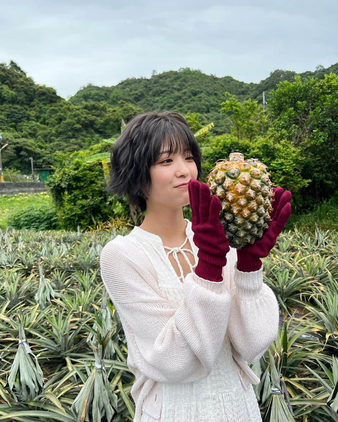 工藤美桜のインスタグラム：「先日の台湾でのお仕事は…！ ステラおばさんのクッキーのお仕事でした！アントステラ台湾限定のクッキー、4つのフレーバーの食べ物を実際にいただいたり、産地へ伺ったり… なかなか出来ない体験だったのですごく楽しかったです☺️ アントステラ台湾限定のクッキー、どの味もとっても美味しかったので台湾に行った際のお土産にもぴったりです！ (私も実際親に渡しました)(パッケージもかわいい)」