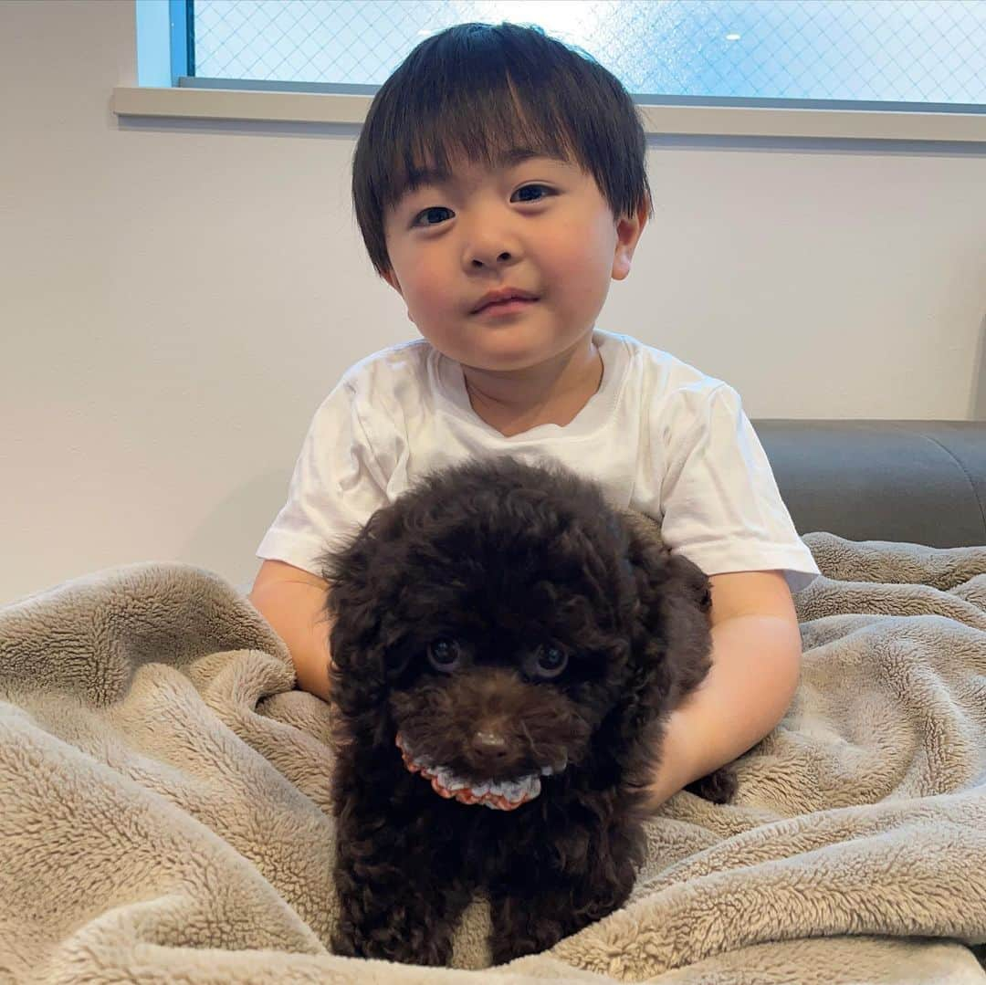 岸川聖也さんのインスタグラム写真 - (岸川聖也Instagram)「家族が増えました🐶  まだ720グラムで小さくて本当に可愛いです！ 息子とも仲良しです！  まさか犬を飼う人生が来るとは思ってなかったので嬉しいです！笑 #トイプードル  #トイプードルブラウン」7月25日 20時47分 - seiyakishikawa