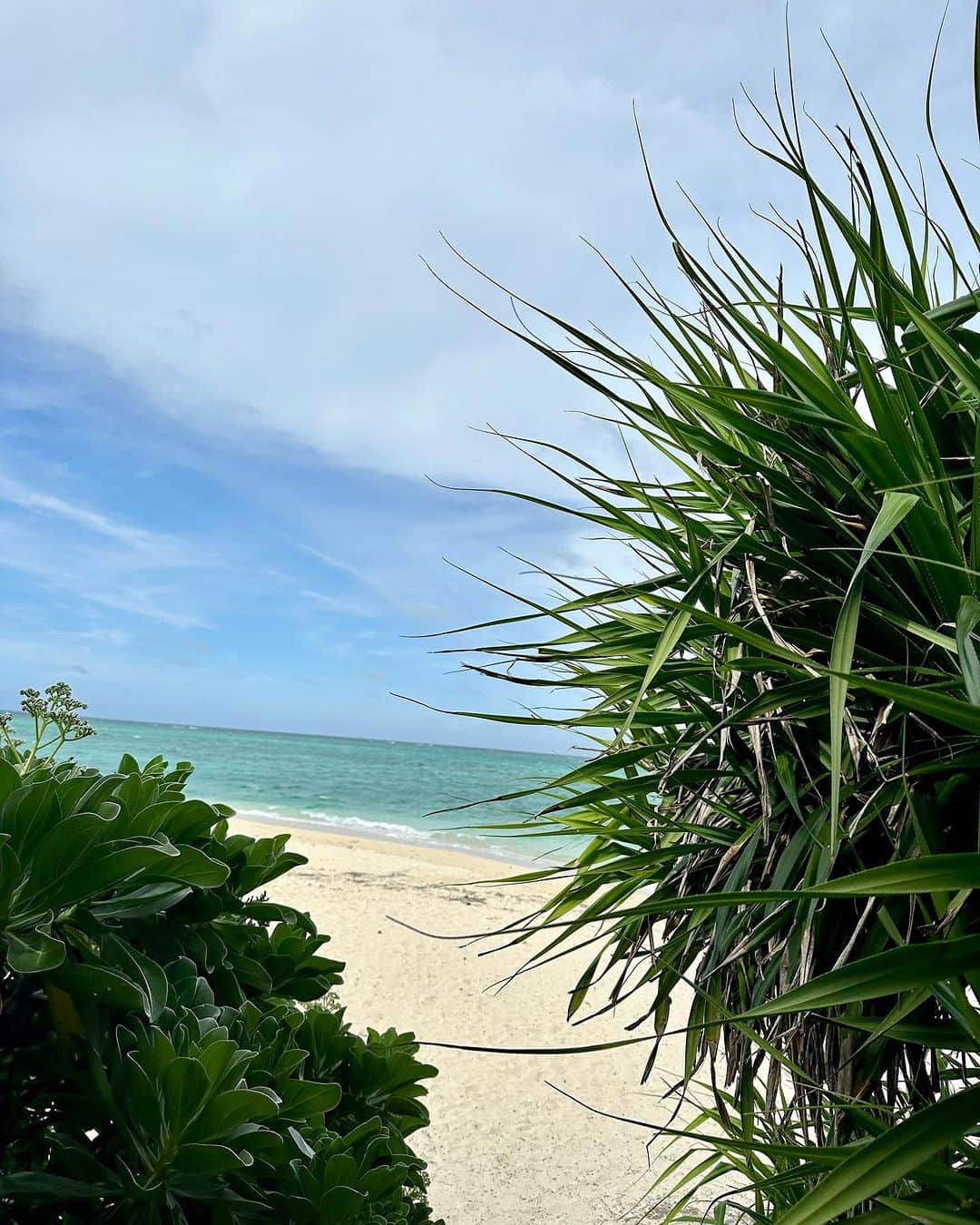 石黒慎太郎さんのインスタグラム写真 - (石黒慎太郎Instagram)「⁡ 宮古島ナウ🏝️  夏旅の必需品 @sencielofficial のクリアバッグ デニムポーチ付きでポーチだけでも使えるのでオススメです✌️✌️」7月25日 20時55分 - igstrrr_