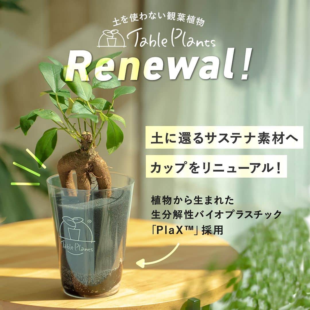 のインスタグラム：「おかげさまで、販売数3万個を突破した土を使わない観葉植物Table Plants  このたび、人にも地球にもやさしくあるために、カップを『土に還るサステナ素材』にリニューアルしました🎉  透明で強度もばっちり。なのに家庭用コンポストで土にすることができる新素材の生分解性バイオプラスチック「PlaX™️」です。  カップの形状もよりシンプルで美しくなりました🙌」