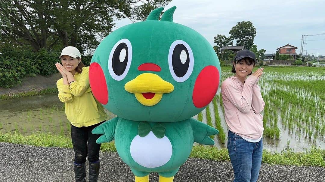 小林アナのインスタグラム